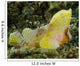 Yellow Colored Spiny Waspfish Wall Decal
