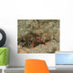 Polka-dot Batfish Ogcocephalus Radiatus Wall Decal