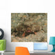 Polka-dot Batfish Ogcocephalus Radiatus Wall Decal