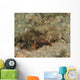 Polka-dot Batfish Ogcocephalus Radiatus Wall Decal