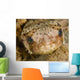 Balloonfish Diodon Holocanthus Wall Decal