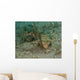 Flying Gurnard West Palm Wall Decal Design 2