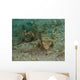 Flying Gurnard West Palm Wall Decal Design 2