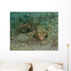 Flying Gurnard West Palm Wall Decal Design 2