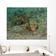 Flying Gurnard West Palm Wall Decal Design 2