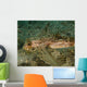 Flying Gurnard West Palm Wall Decal Design 1