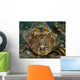 Leopard Sea Robin Prionotus Wall Decal