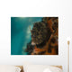 Planehead Filefish West Palm Wall Decal
