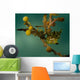 Juvenile Planehead Filefish Hiding Wall Decal