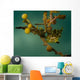 Juvenile Planehead Filefish Hiding Wall Decal