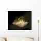 Sharpnose Puffer Canthigaster Rostrata Wall Decal
