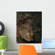 Spotted Scorpionfish West Palm Wall Decal
