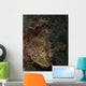 Spotted Scorpionfish West Palm Wall Decal