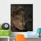 Spotted Scorpionfish West Palm Wall Decal