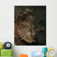 Spotted Scorpionfish West Palm Wall Decal