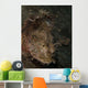Spotted Scorpionfish West Palm Wall Decal