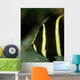 Juvenile Gray Angelfish West Wall Decal Design 1
