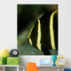 Juvenile Gray Angelfish West Wall Decal Design 1