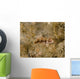 Juvenile Green Razorfish West Wall Decal