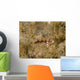 Juvenile Green Razorfish West Wall Decal