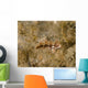 Juvenile Green Razorfish West Wall Decal
