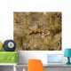 Juvenile Green Razorfish West Wall Decal