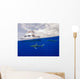 Two Oceanic Whitetip Sharks Wall Decal