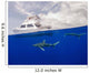 Two Oceanic Whitetip Sharks Wall Decal