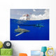 Boat Captain Watches Oceanic Wall Decal