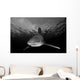 Oceanic Whitetip Shark Cat Wall Decal Design 7