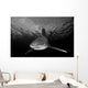 Oceanic Whitetip Shark Cat Wall Decal Design 7