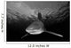Oceanic Whitetip Shark Cat Wall Decal Design 7