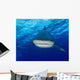 Close-up Encounter with Oceanic Wall Decal