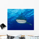 Close-up Encounter with Oceanic Wall Decal