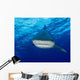 Close-up Encounter with Oceanic Wall Decal