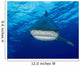 Close-up Encounter with Oceanic Wall Decal