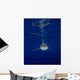 Oceanic Whitetip Shark and Wall Decal