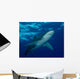 Oceanic Whitetip Shark Cat Wall Decal Design 5