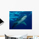 Oceanic Whitetip Shark Cat Wall Decal Design 5
