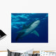 Oceanic Whitetip Shark Cat Wall Decal Design 5