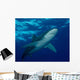 Oceanic Whitetip Shark Cat Wall Decal Design 5
