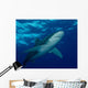 Oceanic Whitetip Shark Cat Wall Decal Design 5