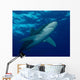 Oceanic Whitetip Shark Cat Wall Decal Design 5