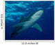 Oceanic Whitetip Shark Cat Wall Decal Design 5