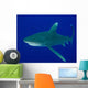 Oceanic Whitetip Shark Cat Wall Decal Design 4