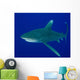 Oceanic Whitetip Shark Cat Wall Decal Design 4