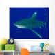 Oceanic Whitetip Shark Cat Wall Decal Design 4