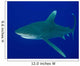 Oceanic Whitetip Shark Cat Wall Decal Design 4