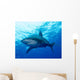 Oceanic Whitetip Shark Cat Wall Decal Design 3