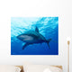 Oceanic Whitetip Shark Cat Wall Decal Design 3